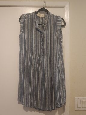 Blue and White Striped Sleeveless Button Front Dress